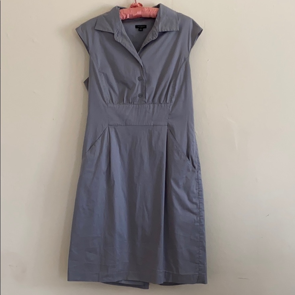 Ann Taylor Dress with Pockets!